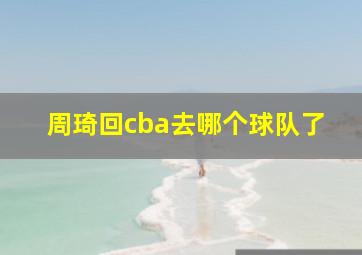 周琦回cba去哪个球队了