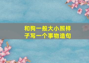 和狗一般大小照样子写一个事物造句