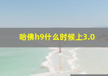 哈佛h9什么时候上3.0