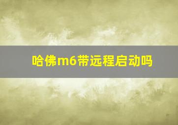 哈佛m6带远程启动吗