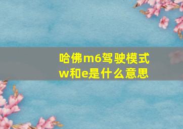 哈佛m6驾驶模式w和e是什么意思