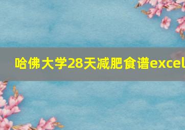 哈佛大学28天减肥食谱excel