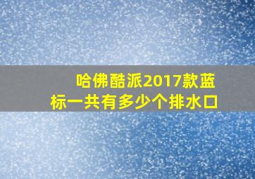 哈佛酷派2017款蓝标一共有多少个排水口