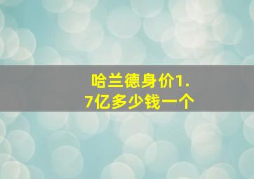 哈兰德身价1.7亿多少钱一个