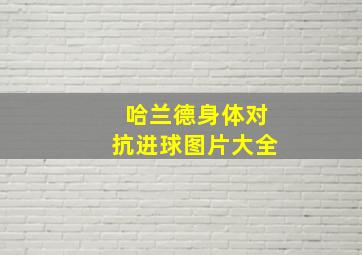 哈兰德身体对抗进球图片大全