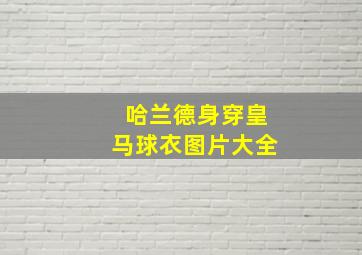 哈兰德身穿皇马球衣图片大全