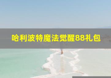 哈利波特魔法觉醒88礼包