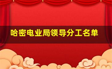 哈密电业局领导分工名单