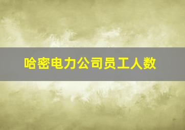 哈密电力公司员工人数