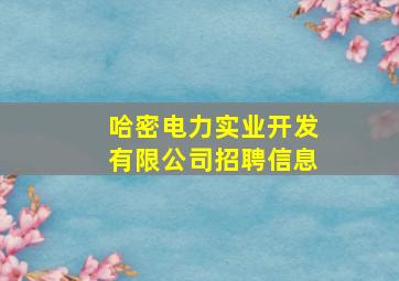 哈密电力实业开发有限公司招聘信息