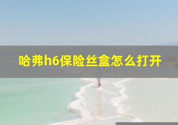 哈弗h6保险丝盒怎么打开