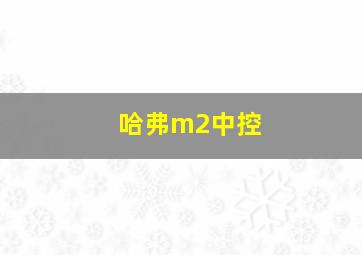 哈弗m2中控