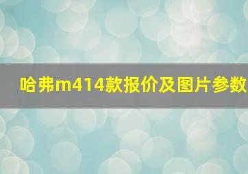 哈弗m414款报价及图片参数