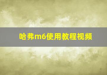 哈弗m6使用教程视频