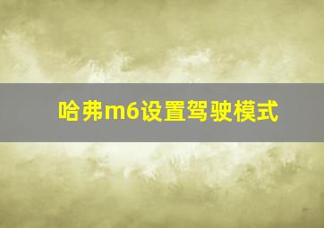 哈弗m6设置驾驶模式