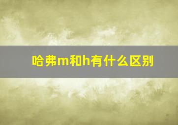 哈弗m和h有什么区别