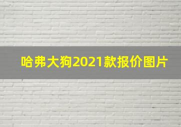 哈弗大狗2021款报价图片