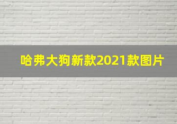 哈弗大狗新款2021款图片