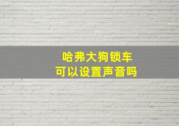 哈弗大狗锁车可以设置声音吗