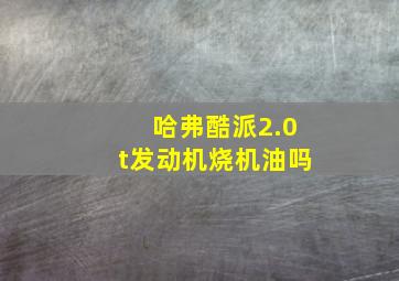 哈弗酷派2.0t发动机烧机油吗