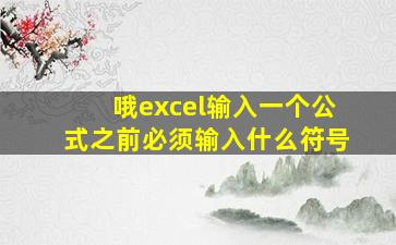 哦excel输入一个公式之前必须输入什么符号