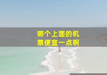 哪个上面的机票便宜一点啊