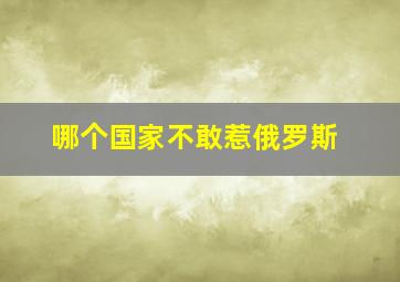 哪个国家不敢惹俄罗斯