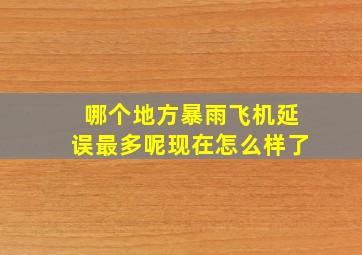 哪个地方暴雨飞机延误最多呢现在怎么样了