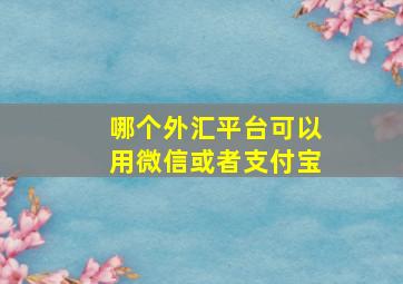 哪个外汇平台可以用微信或者支付宝