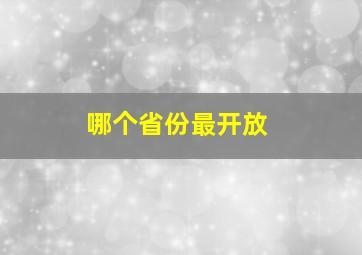 哪个省份最开放