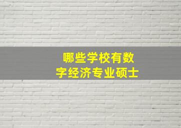 哪些学校有数字经济专业硕士