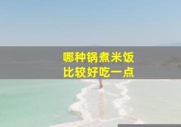 哪种锅煮米饭比较好吃一点