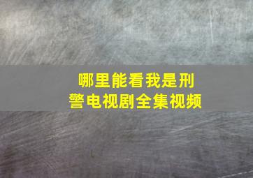 哪里能看我是刑警电视剧全集视频