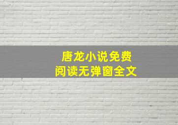 唐龙小说免费阅读无弹窗全文