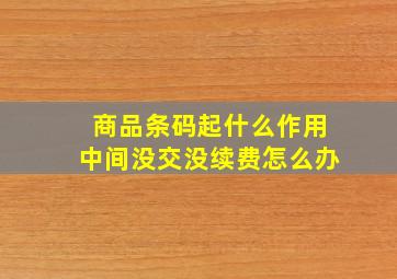 商品条码起什么作用中间没交没续费怎么办