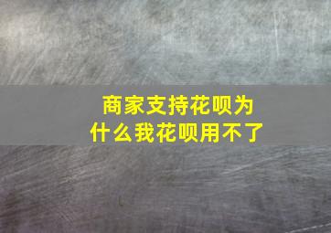 商家支持花呗为什么我花呗用不了