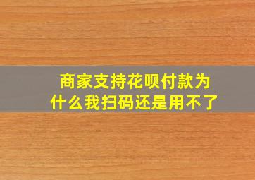 商家支持花呗付款为什么我扫码还是用不了