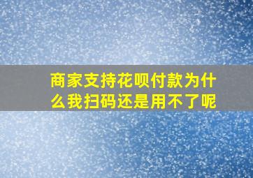 商家支持花呗付款为什么我扫码还是用不了呢