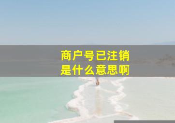 商户号已注销是什么意思啊