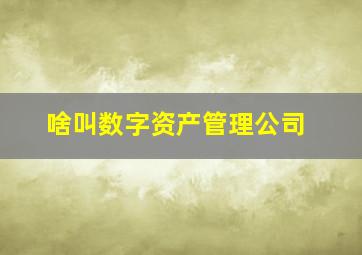 啥叫数字资产管理公司