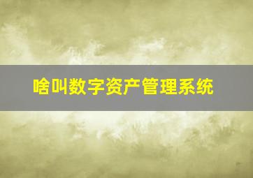 啥叫数字资产管理系统