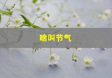 啥叫节气