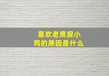 喜欢老鹰捉小鸡的原因是什么