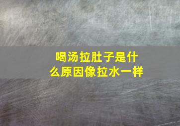 喝汤拉肚子是什么原因像拉水一样