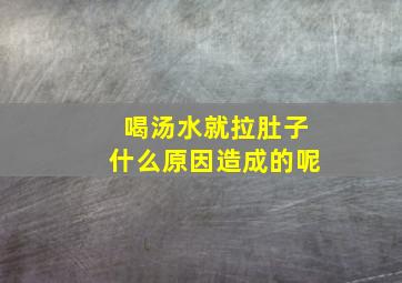 喝汤水就拉肚子什么原因造成的呢