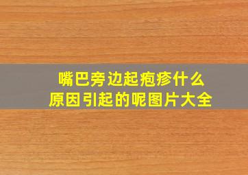 嘴巴旁边起疱疹什么原因引起的呢图片大全