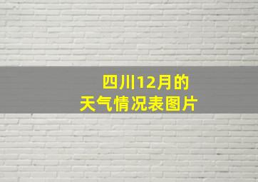 四川12月的天气情况表图片