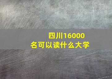 四川16000名可以读什么大学