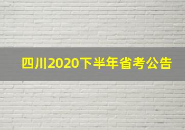 四川2020下半年省考公告