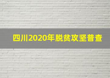 四川2020年脱贫攻坚普查